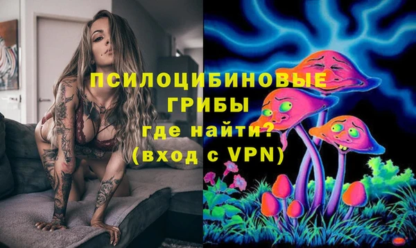 героин Каменка