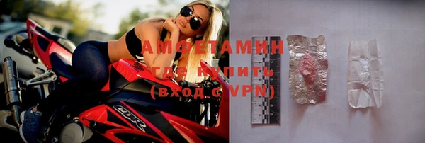ГАЛЛЮЦИНОГЕННЫЕ ГРИБЫ Карталы