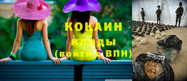 ГАЛЛЮЦИНОГЕННЫЕ ГРИБЫ Карталы