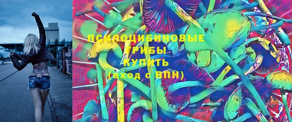 героин Каменка