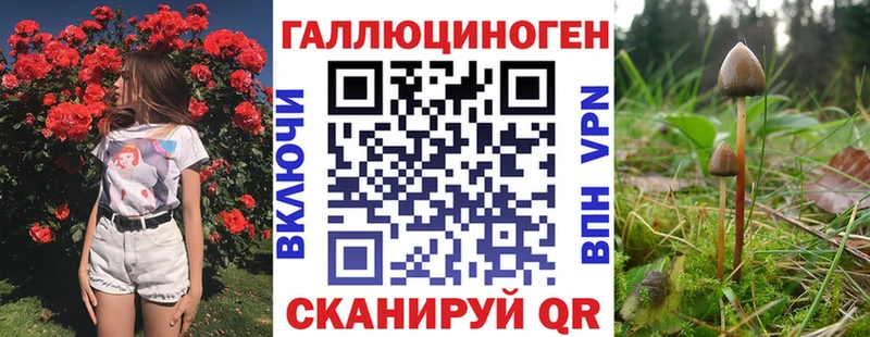 Галлюциногенные грибы Psilocybine cubensis  Купить  Бирск 